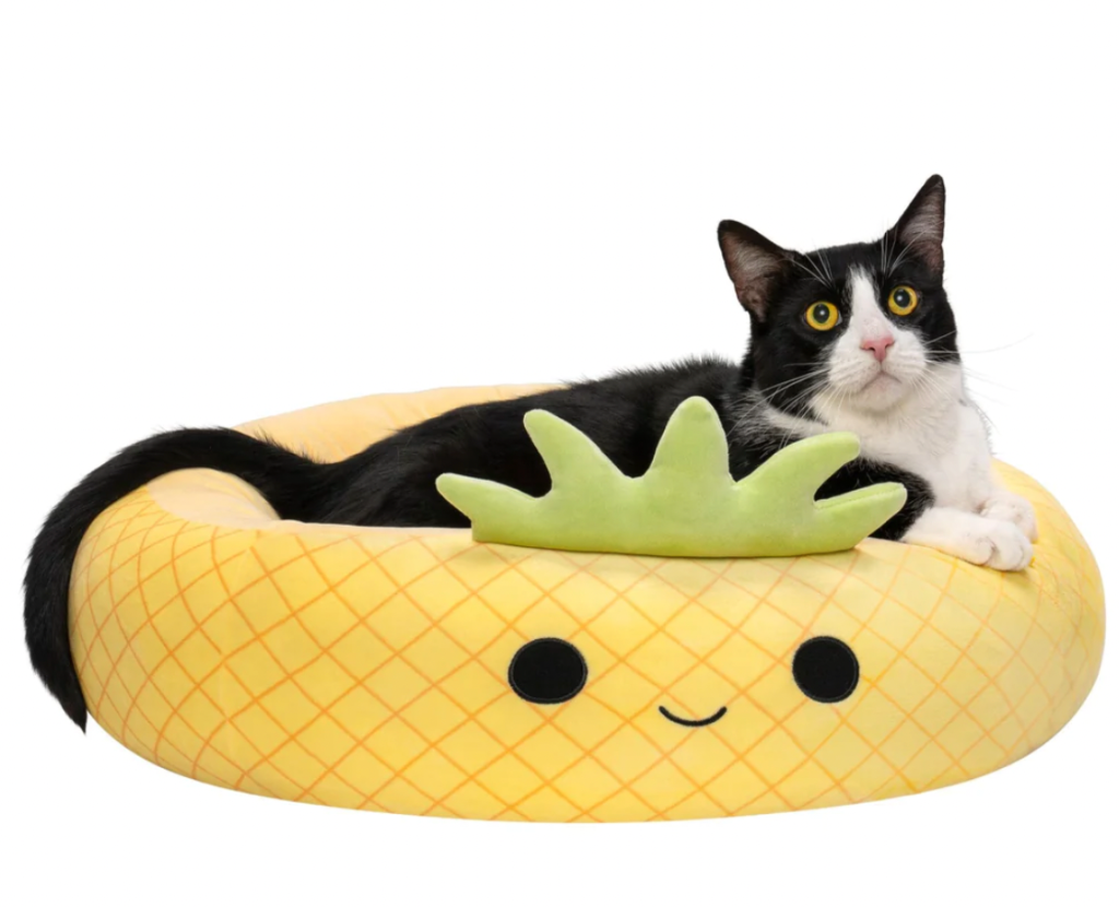 PET BEDS: STYLISH FURNISHINGS FOR YOUR DOG OR CAT